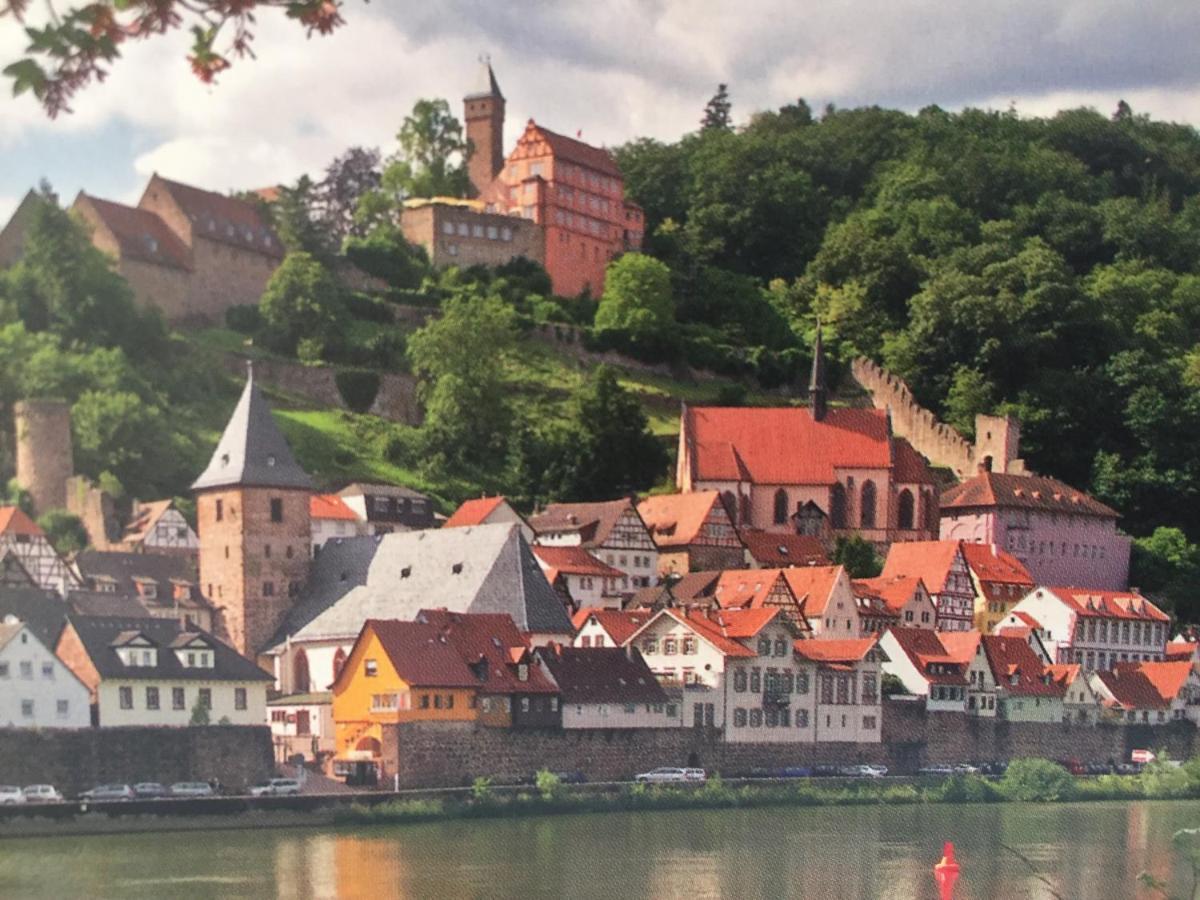Neckarblick,Natur, Altstadt Hirschhorn Exteriör bild