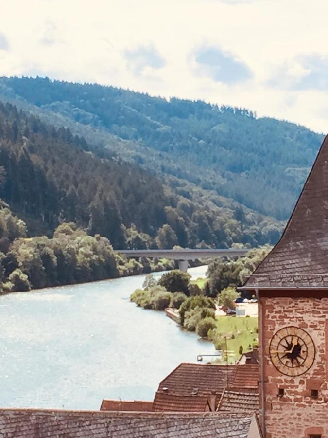 Neckarblick,Natur, Altstadt Hirschhorn Exteriör bild