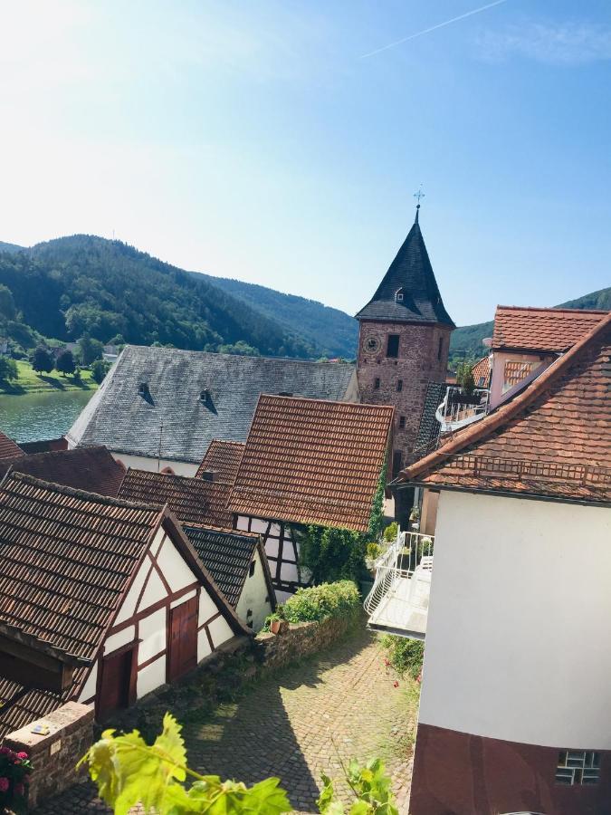 Neckarblick,Natur, Altstadt Hirschhorn Exteriör bild