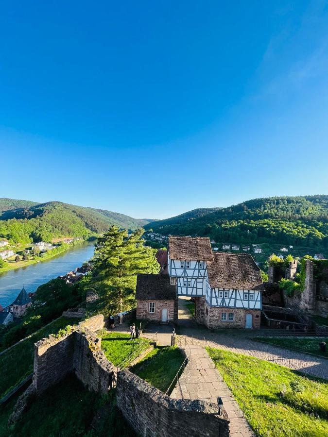 Neckarblick,Natur, Altstadt Hirschhorn Exteriör bild
