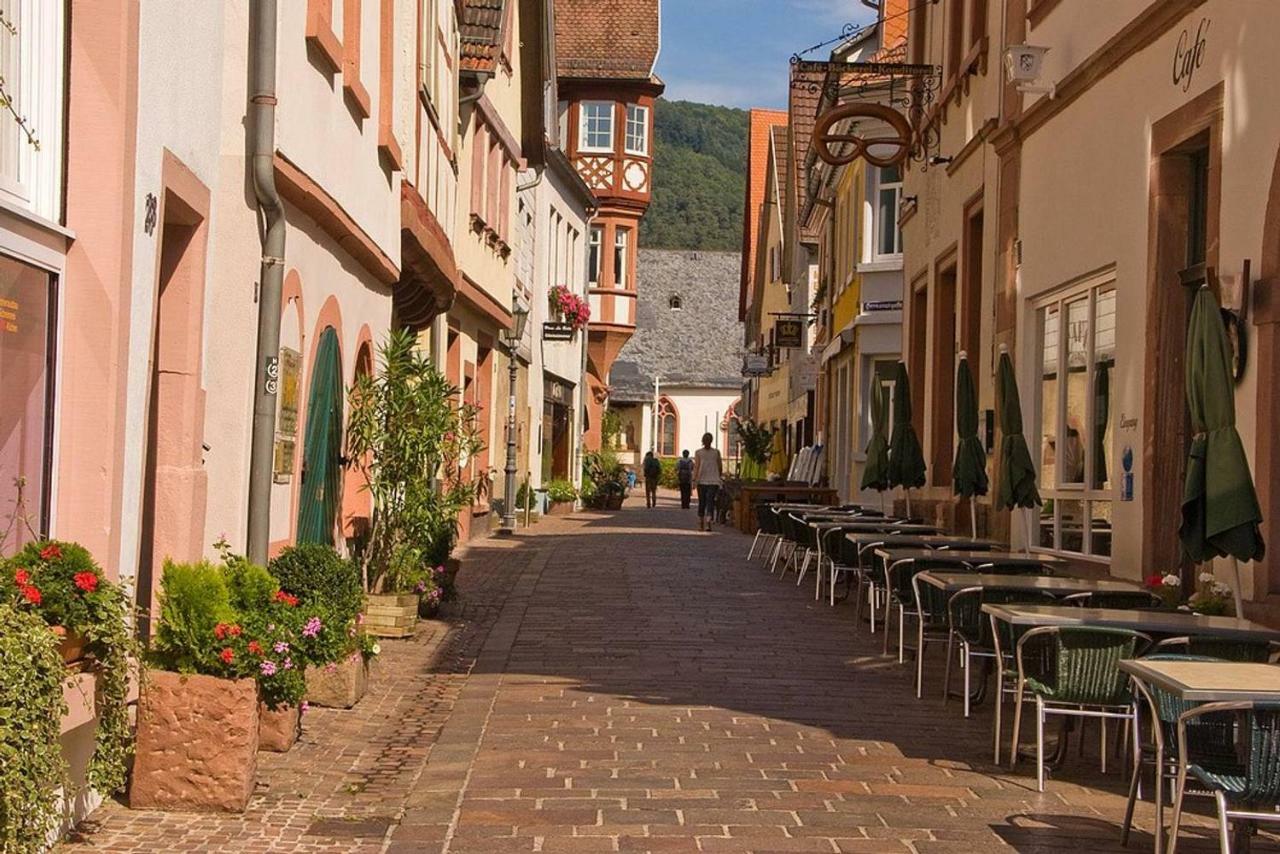 Neckarblick,Natur, Altstadt Hirschhorn Exteriör bild