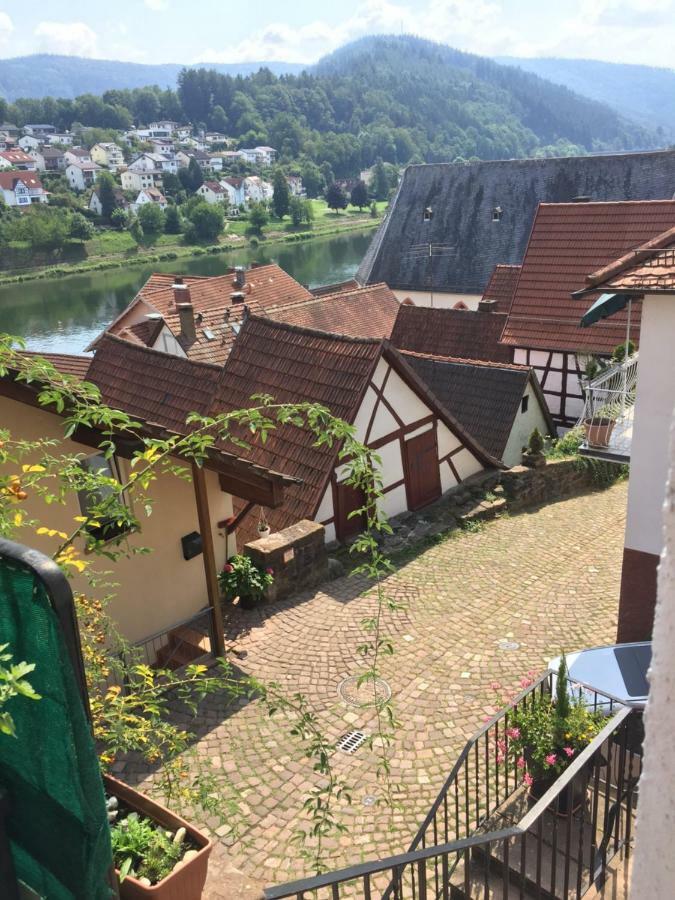 Neckarblick,Natur, Altstadt Hirschhorn Exteriör bild