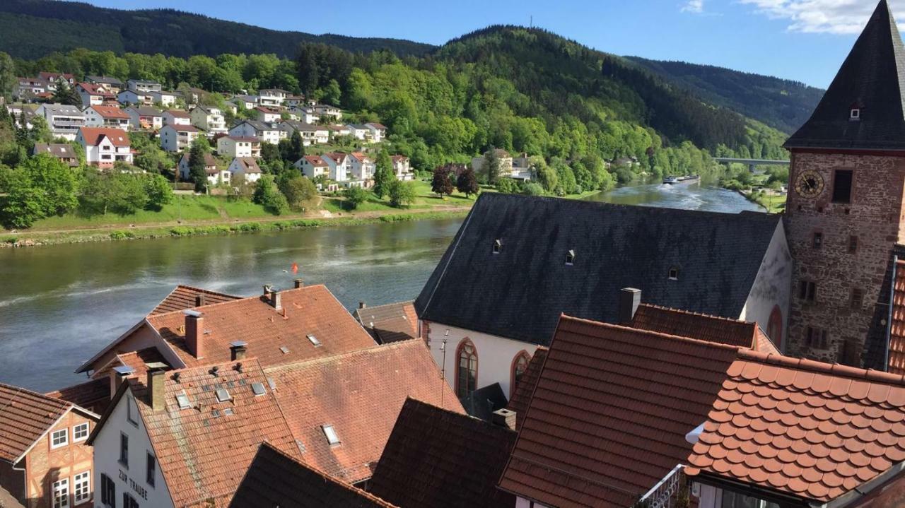 Neckarblick,Natur, Altstadt Hirschhorn Exteriör bild